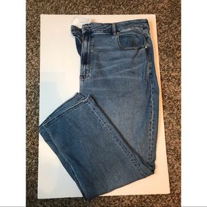 American Eagle Curvy Mom Jean